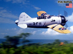 F2A Buffalo